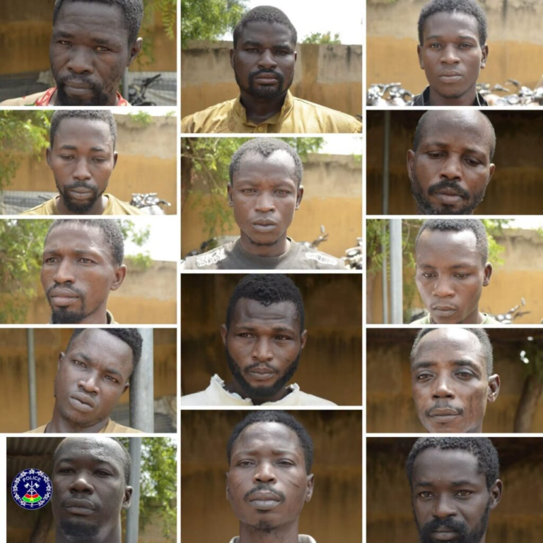 Burkina Faso police dismantle cross-border armed robbery ring