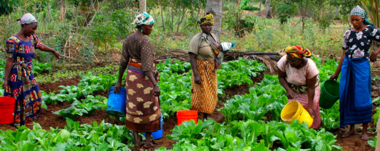Burkina Faso secures CFA 67bn for vulnerable households