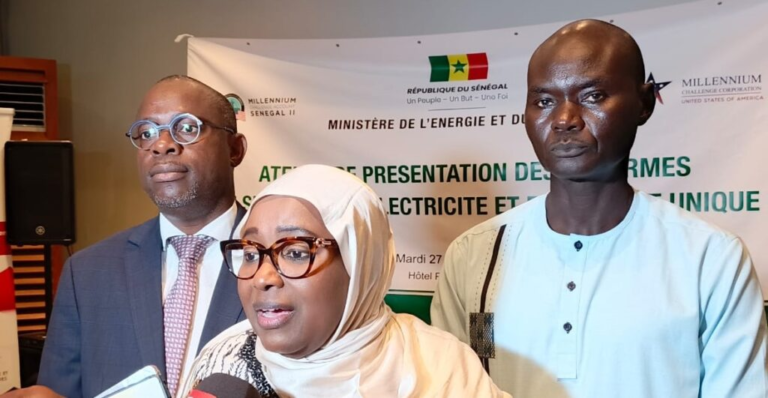 Senegal unveils digital licensing platform for power sector